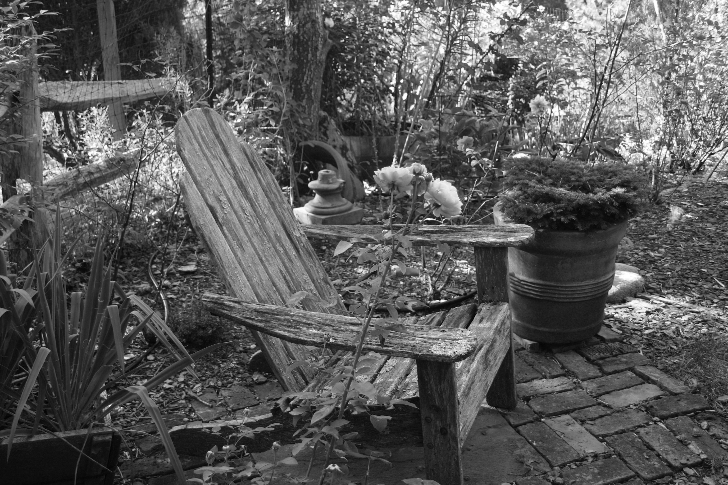 black and white image of Adirondak chairs